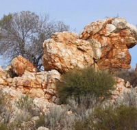Credo Homestead Camp at Credo Conservation Park - ACT Tourism