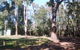 Workmans Pool Camp At St John Brook National Park - thumb 0