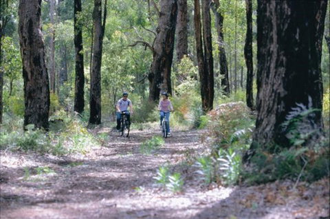 Honeymoon Pool - Stones Brook Camp At Wellington National Park - ACT Tourism 0