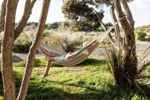 Anglesea Family Caravan Park - ACT Tourism 1