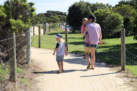 Anglesea Family Caravan Park - ACT Tourism 4