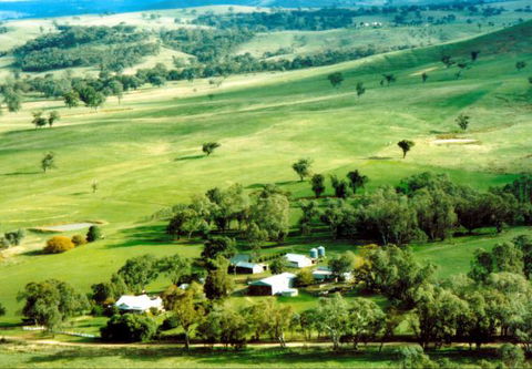 Daisyburn Homestead - ACT Tourism 0