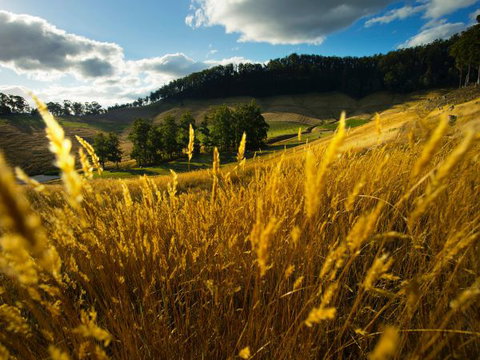 Frenchman's River - The Writer's House - ACT Tourism 9