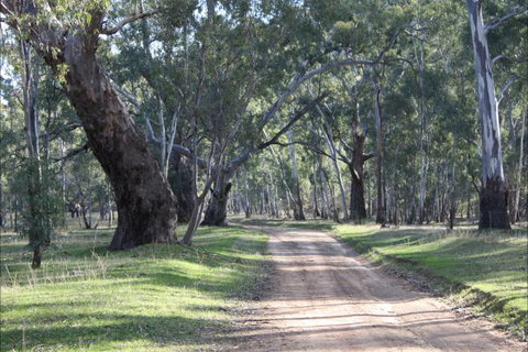 Hughes Park Cottage & Weddings - ACT Tourism 2