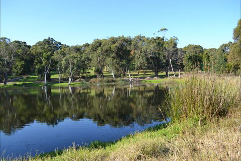 Iluka Retreat And Camp - ACT Tourism 2