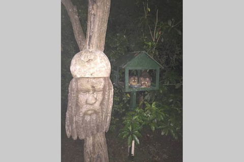 Kookaburra Retreat - ACT Tourism 9