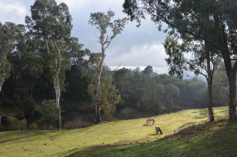 Nug Nug Wah Homestead - ACT Tourism 2