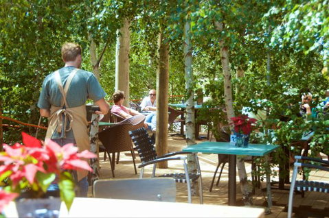 Oakdene Vineyards Guesthouse - ACT Tourism 5