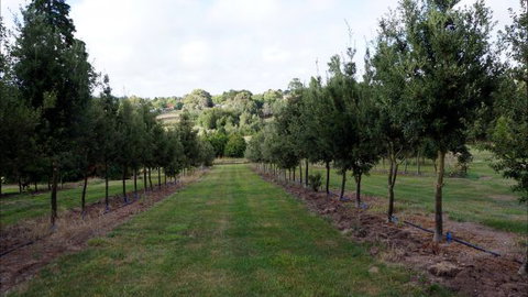 Oakhill Cottage - ACT Tourism 6