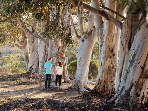 Rilli Retreat - ACT Tourism 3