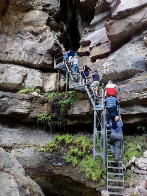 Takarakka Bush Resort Carnarvon Gorge - ACT Tourism 0