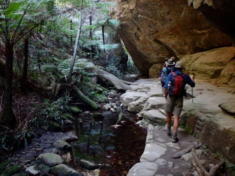 Takarakka Bush Resort Carnarvon Gorge - ACT Tourism 6