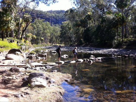 Takarakka Bush Resort Carnarvon Gorge - ACT Tourism 9