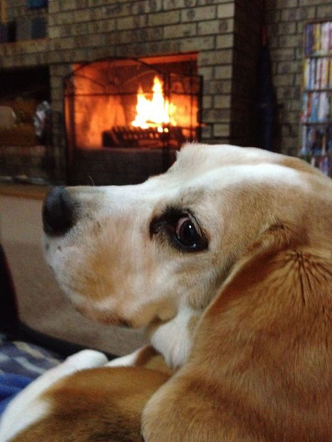 The Retreat On Matthew - ACT Tourism 2