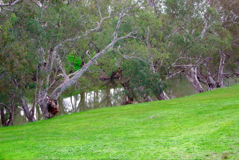 Yalooka Farm - ACT Tourism 4