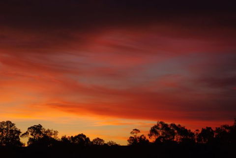 Yalooka Farm - ACT Tourism 5