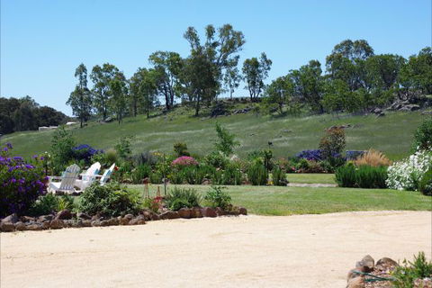 Yalooka Farm - ACT Tourism 6