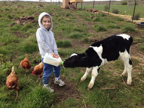 Yalooka Farm - ACT Tourism 8