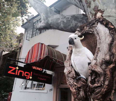 Zing! Backpackers Hostel - ACT Tourism 0