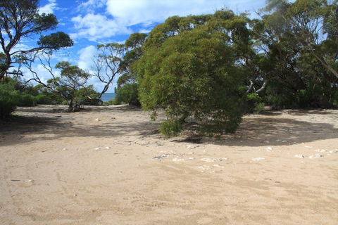 Acraman Creek Conservation Park Campgrounds - ACT Tourism 0