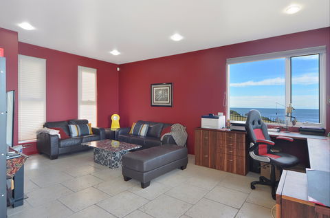 Albatross - ACT Tourism 6