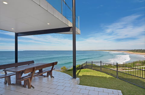 Albatross - ACT Tourism 8