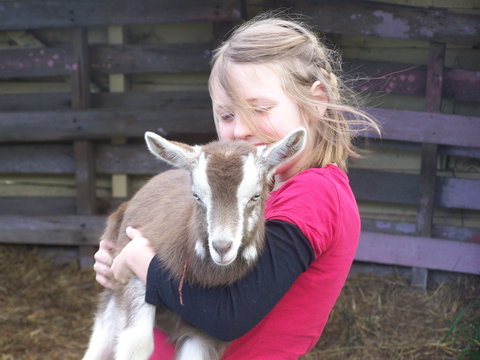 Eden Orchard And Farmstay - ACT Tourism 3