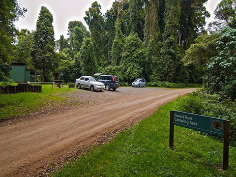 Forest Tops Campground - ACT Tourism 1