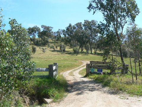Gaddleen Grove Cottages - ACT Tourism 3
