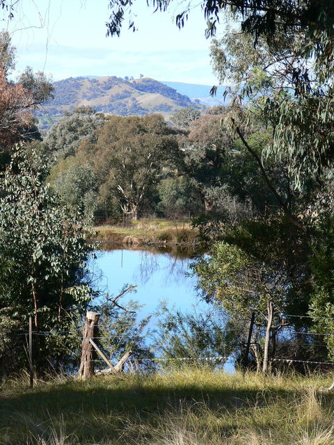 Gaddleen Grove Cottages - ACT Tourism 6