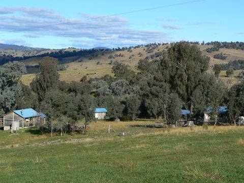 Gaddleen Grove Cottages - ACT Tourism 7