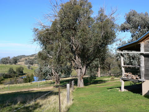 Gaddleen Grove Cottages - ACT Tourism 9