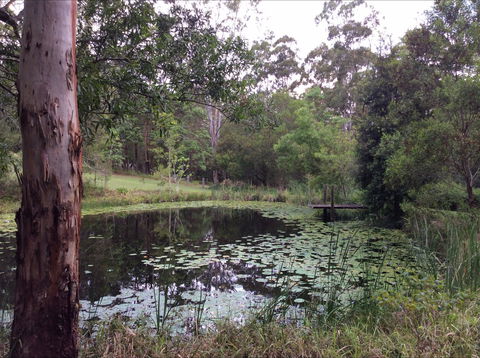 Maleny Country Cottages - ACT Tourism 3