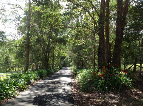 Maleny Country Cottages - ACT Tourism 8