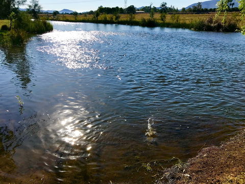 Russley Rural Retreat - ACT Tourism 4