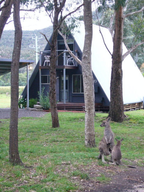 The A-Frame - ACT Tourism 0
