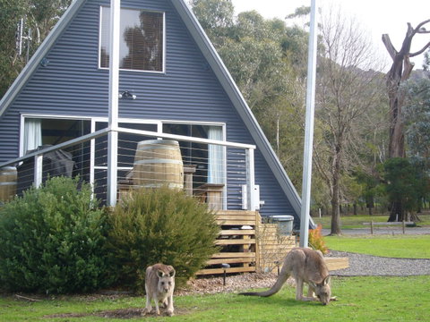 The A-Frame - ACT Tourism 9