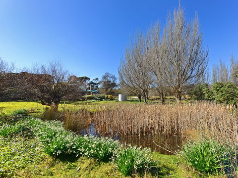 Ventnor Guest House - ACT Tourism 9