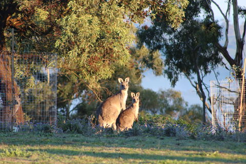 Abercrombie Ridge - ACT Tourism 7