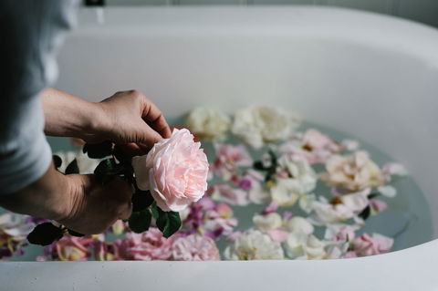 Acre Of Roses - ACT Tourism 5