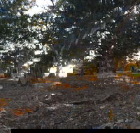 Almerta Station - ACT Tourism