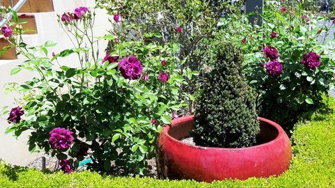 Armidale Pines Motel - ACT Tourism 0