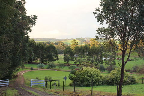 Blue House Bed And Breakfast - ACT Tourism 2