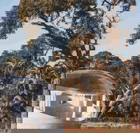 Coonawarra Bubble Tents - ACT Tourism