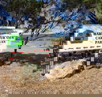 Cowell Harbor View Caravan Park - ACT Tourism