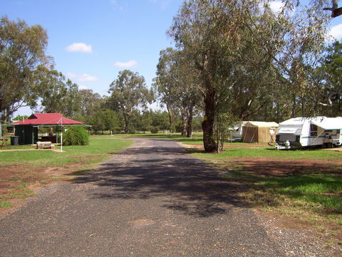 Dunedoo Caravan Park - ACT Tourism 0