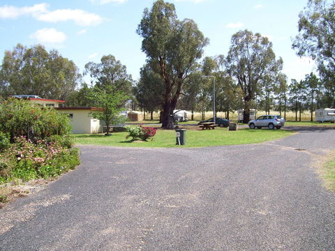 Dunedoo Caravan Park - ACT Tourism 2