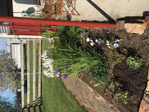 Fairview Bed And Breakfast Cottage - ACT Tourism 2