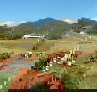 Farringdon Homestead - ACT Tourism