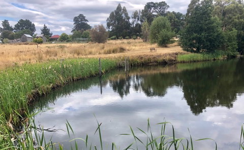 Hamlet Downs Country Accommodation - ACT Tourism 7